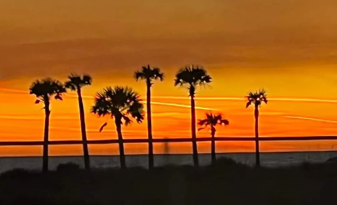 Apartment Shores Of Panama 821-2 Bd 3Ba, Sleeps 8! Updated, No Carpet! Free Fun! Condo Panama City Beach United States